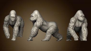 3D model Gorilla (STL)